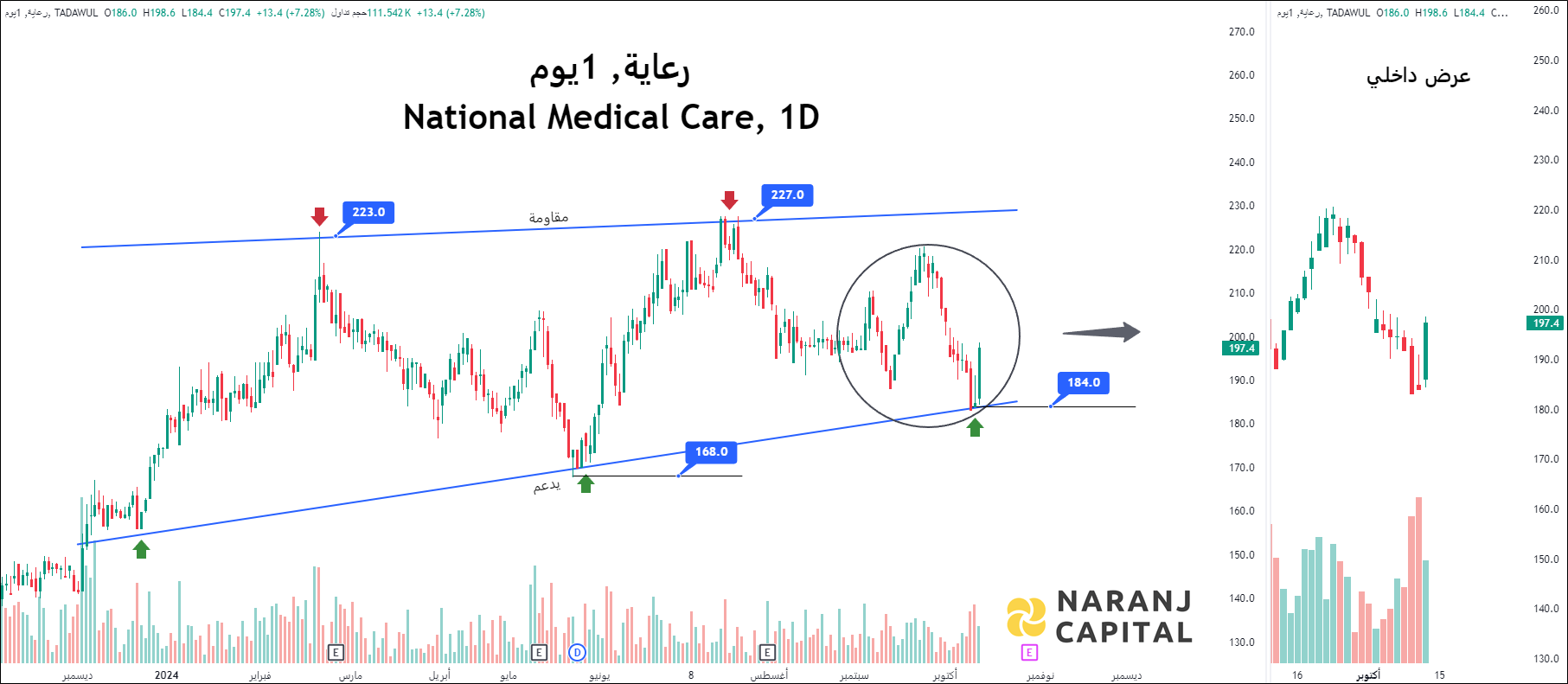 National Medical Care - Technical Analysis chart on Daily Price and Volume