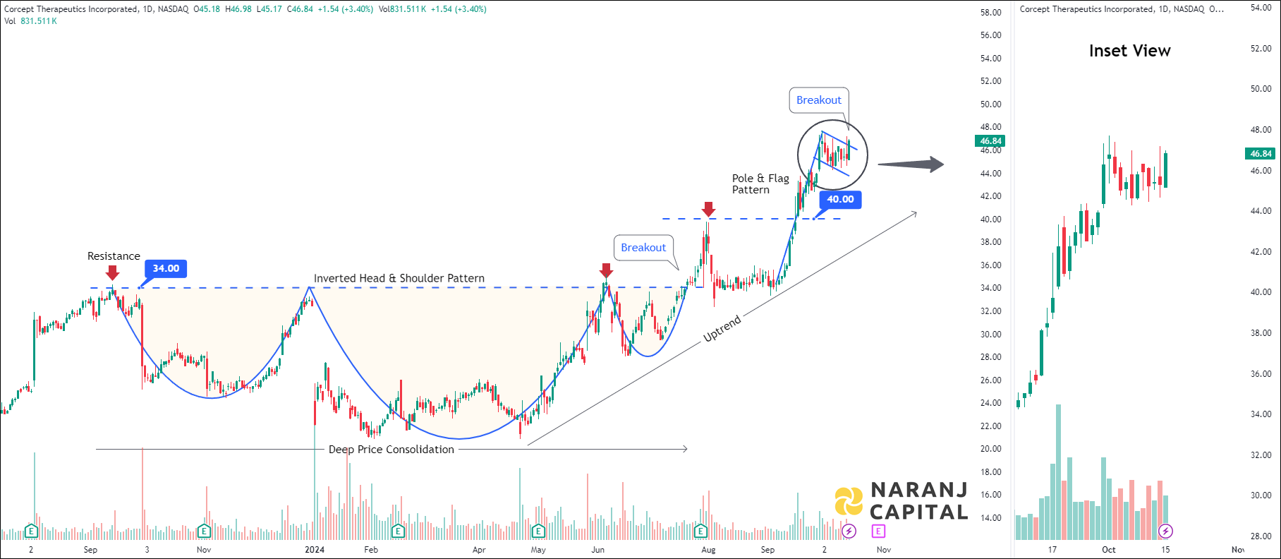 Corcept Therapeutics - Technical Analysis chart on Daily Price and Volume