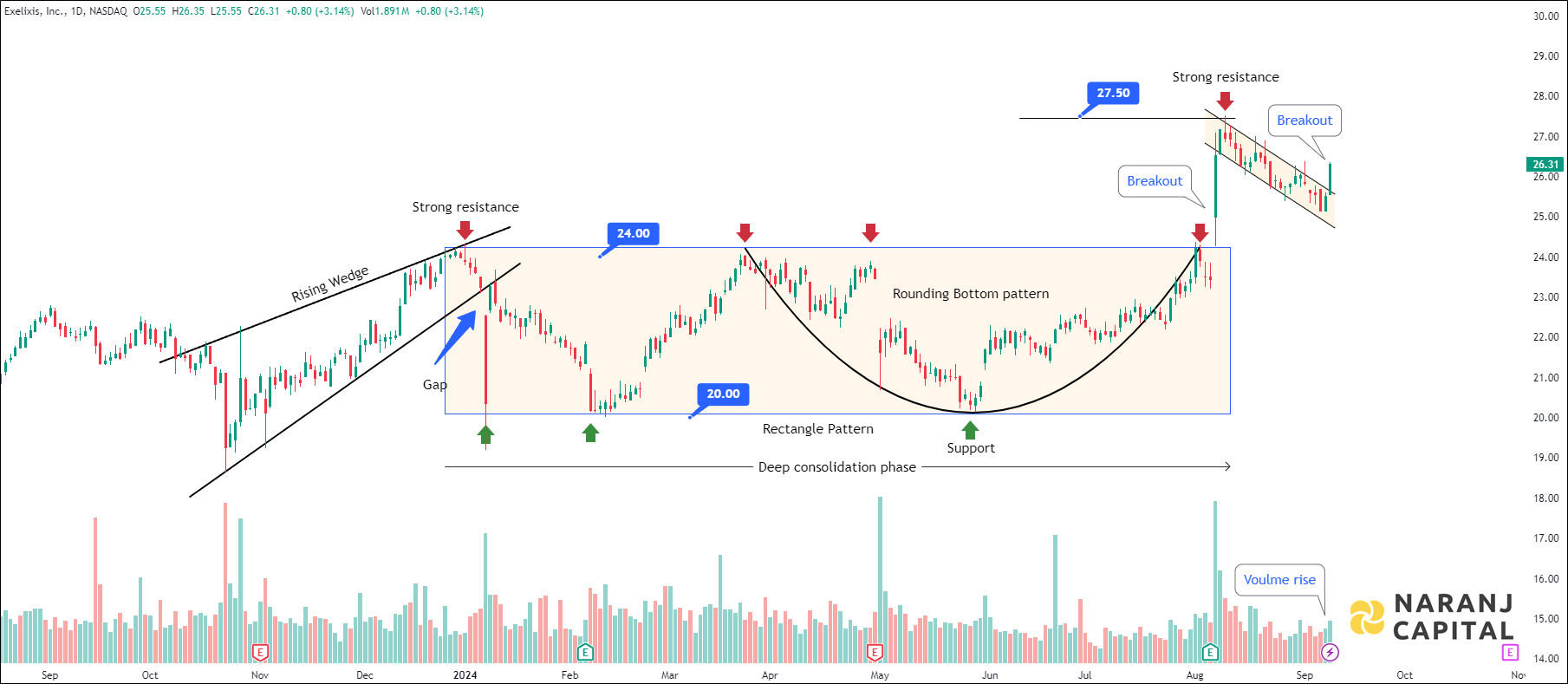 Exelixis - Technical Analysis chart on Daily Price and Volume