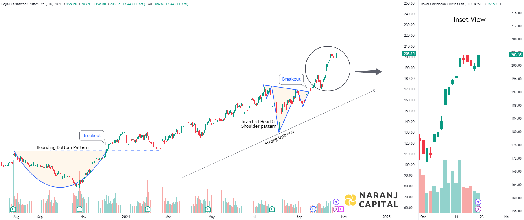 Royal Caribbean Cruises - Technical Analysis chart on Daily Price and Volume