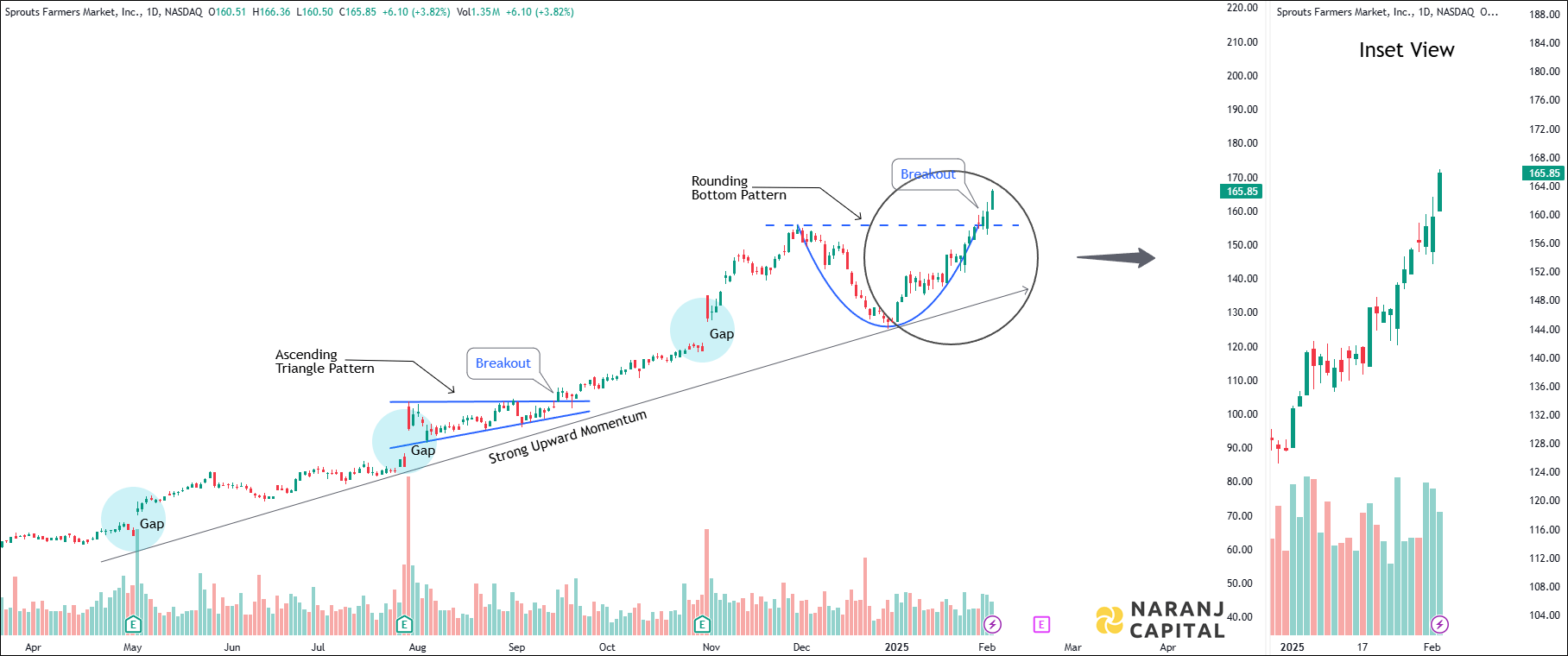 Sprouts Farmers Market - Technical Analysis chart on Daily Price and Volume