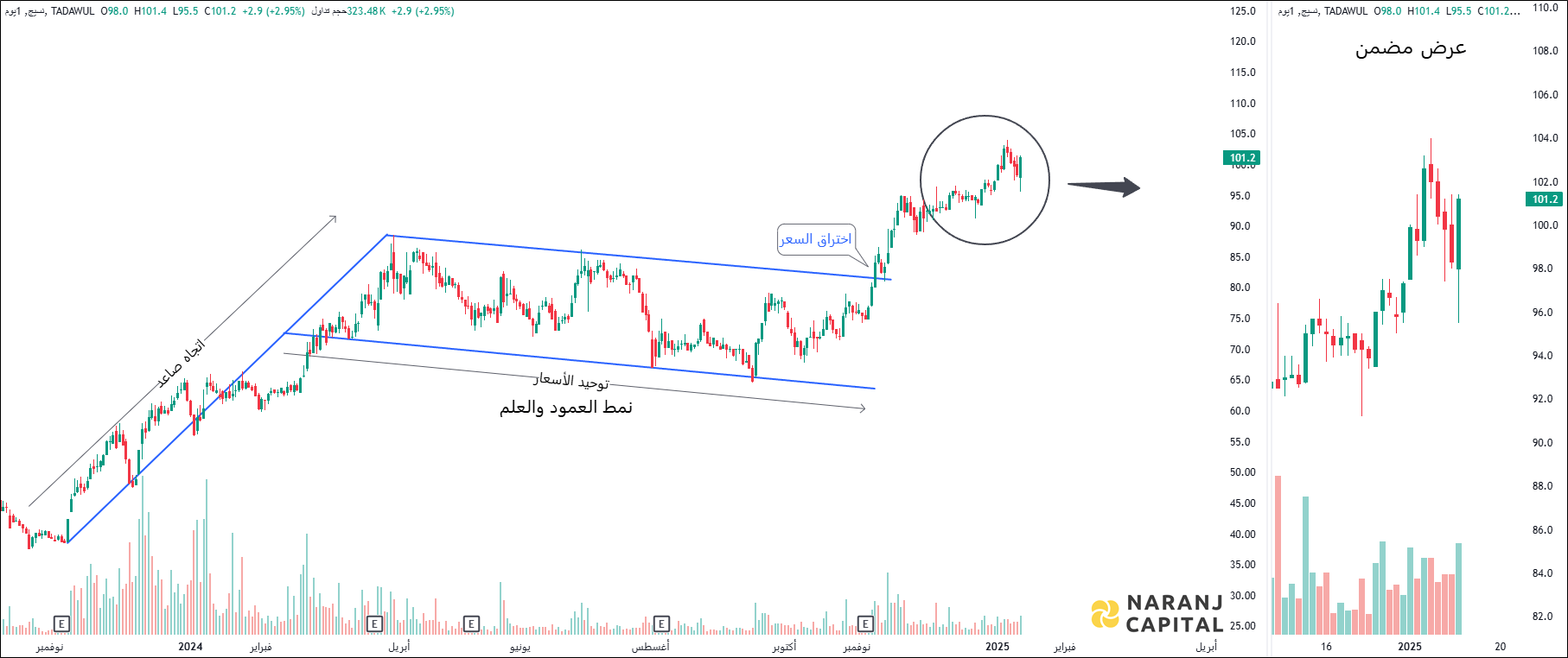 Naseej International Trading - Technical Analysis chart on Daily Price and Volume