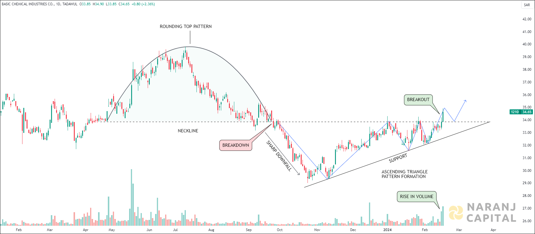 Basic Chemical Industries - Technical Analysis chart on Daily Price and Volume