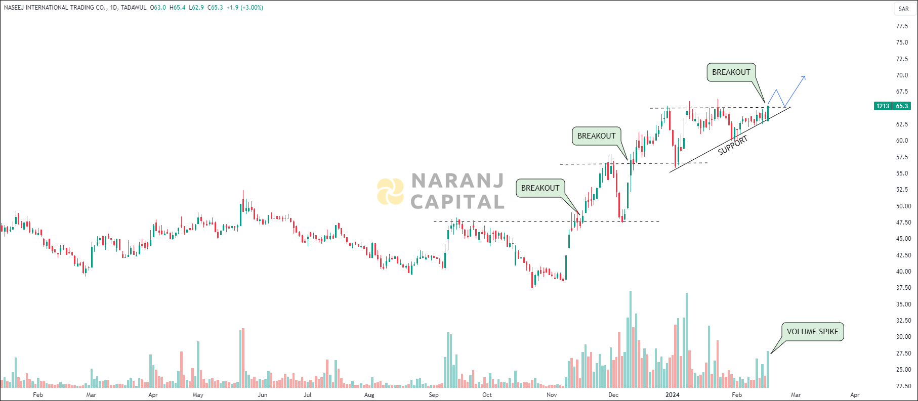 Naseej International Trading - Technical Analysis chart on Daily Price and Volume