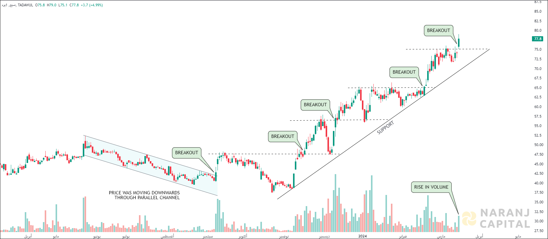 Naseej International Trading - Technical Analysis chart on Daily Price and Volume