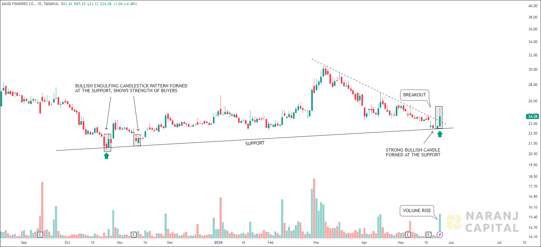 Saudi Fisheries stock analysis based on Candlestick Pattern Analysis
