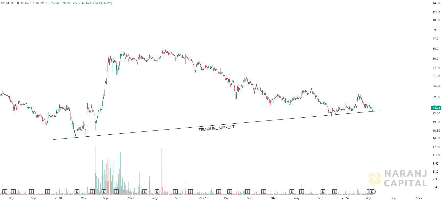 Saudi Fisheries - Technical Analysis chart on Daily Price and Volume