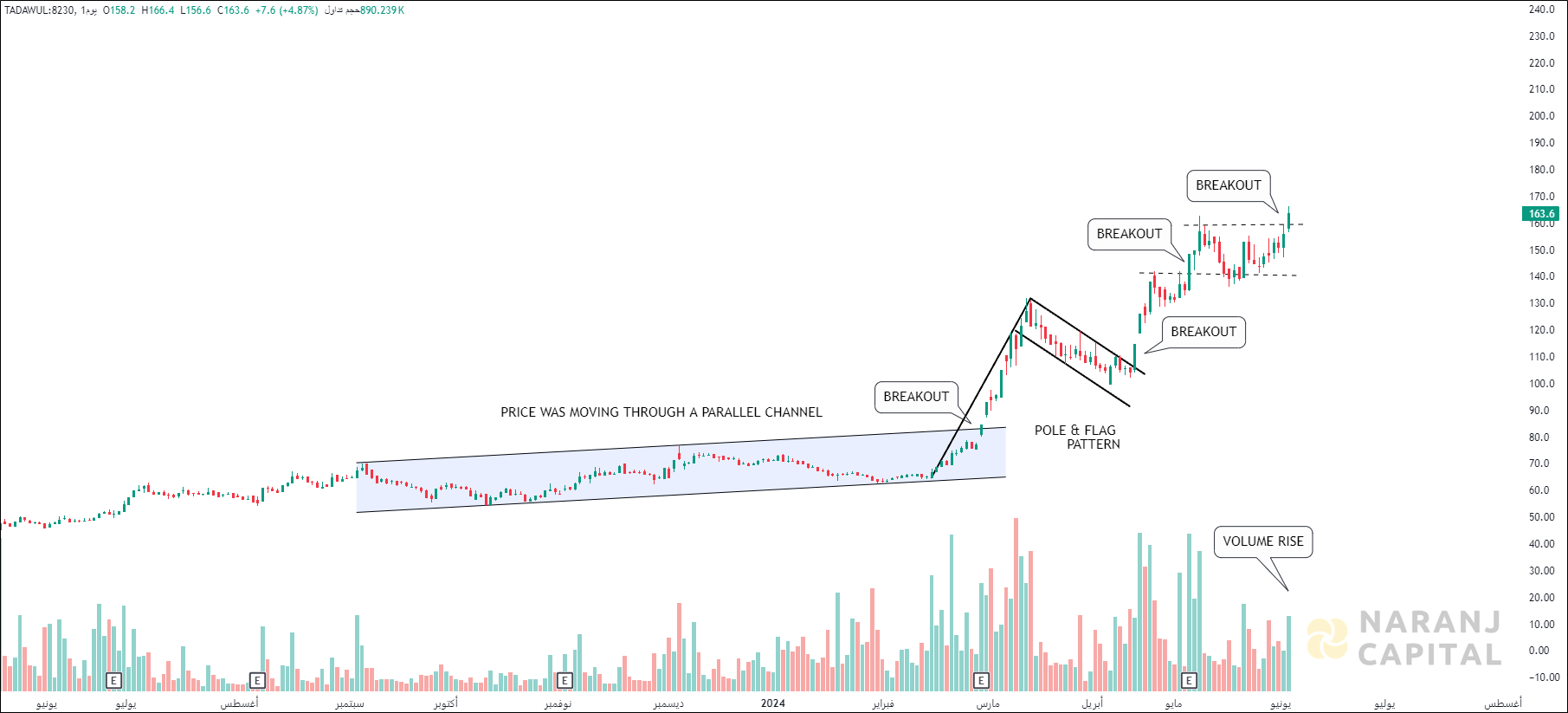Al-Rajhi Company for Cooperative Insurance - Technical Analysis chart on Daily Price and Volume