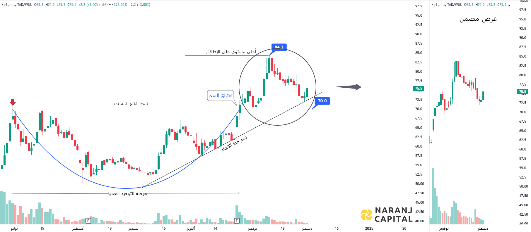 Rasan Information Technology - Technical Analysis chart on Daily Price and Volume